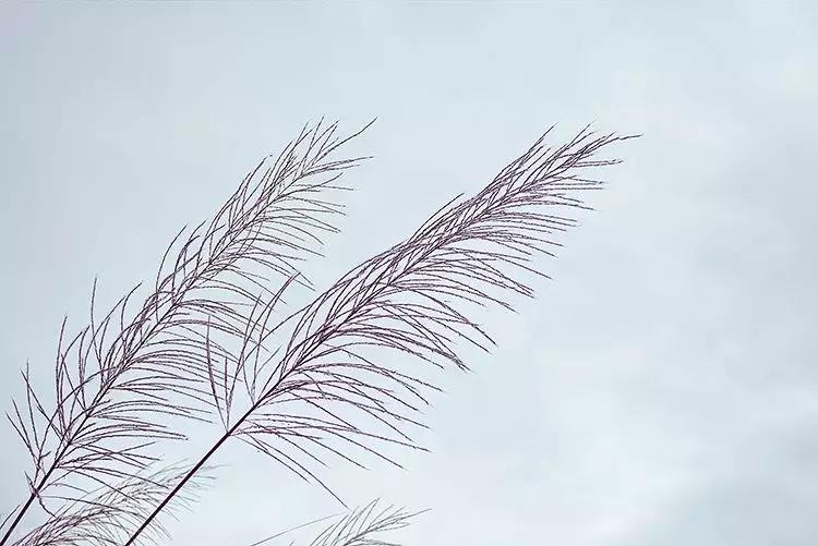 九月遇见最美的风景,金秋九月遇见更好的自己