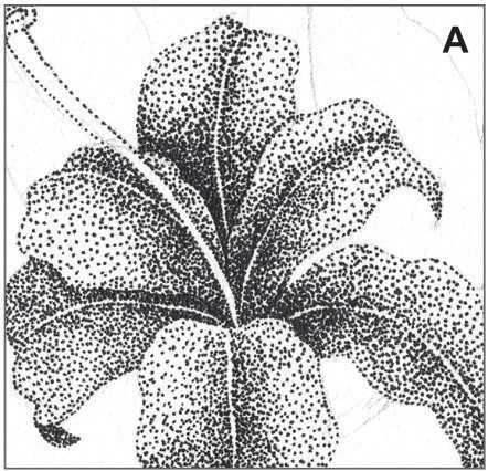 插画绘画教程纸绘,怎么画简单好看的插画教程