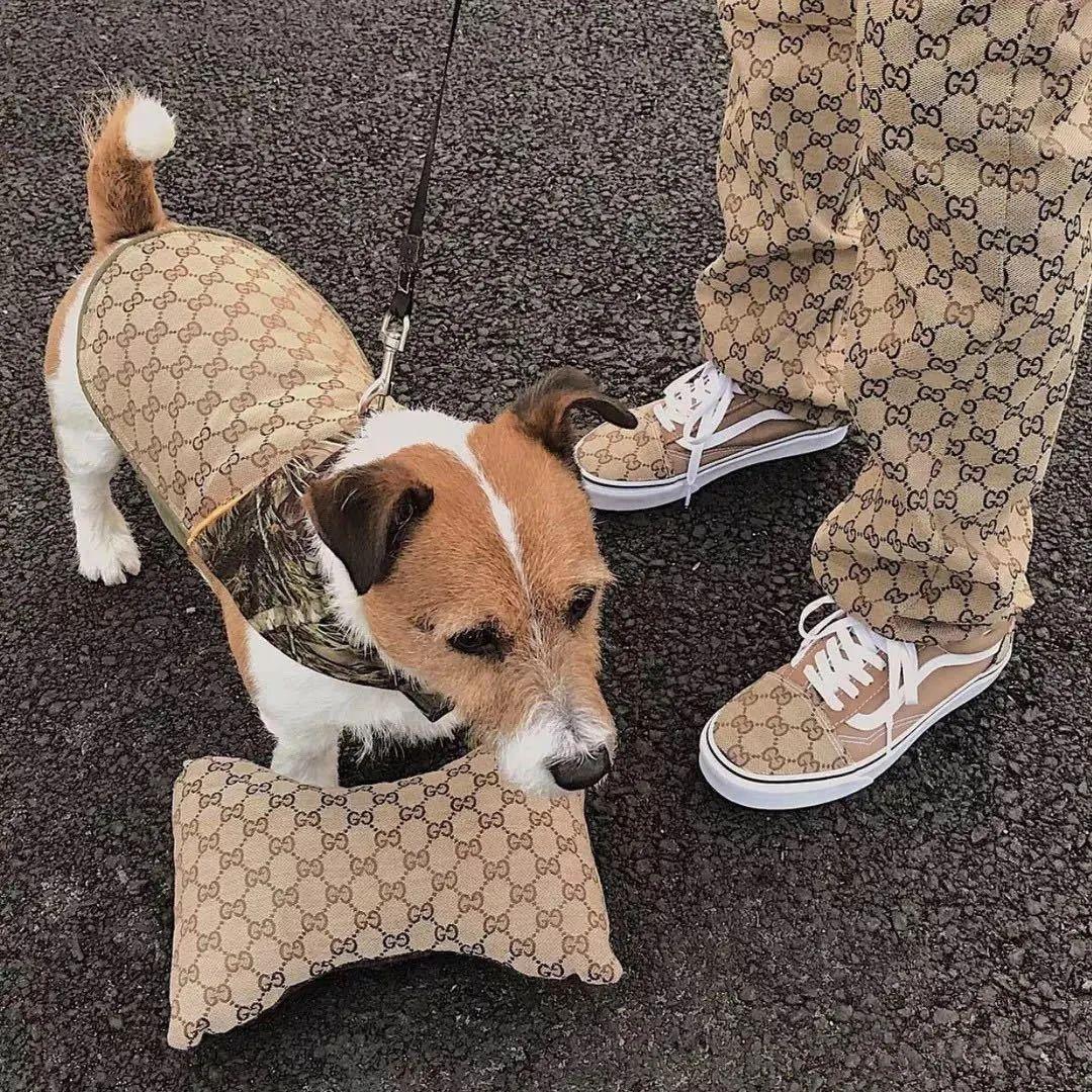 碧梨、TS最爱的品牌，竟是一家“假货制造营”？