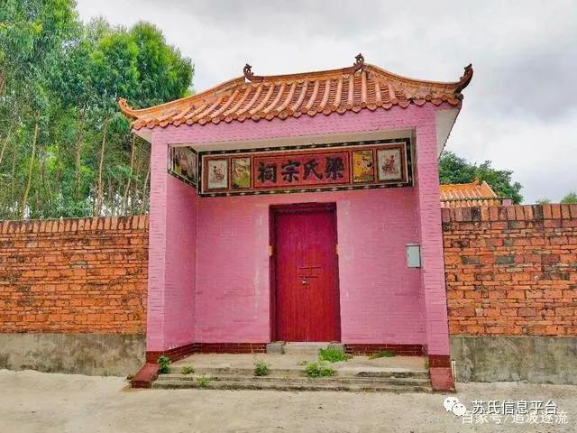 麻章太平镇良村苏氏,湛江市太平镇良村历史