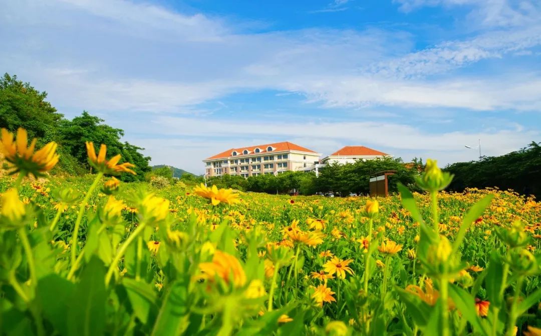 中国海洋大学2021年中外合作办学专业介绍