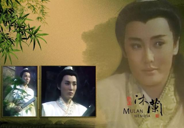 白玉川最爱的电视剧,新加坡电视剧莲花争霸白玉川