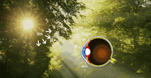 哺光仪能减少近视度数吗,哺光仪对眼轴控制真的有效吗