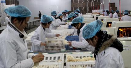 低调的东莞亿万富豪,广东东莞低调富豪身价1700亿