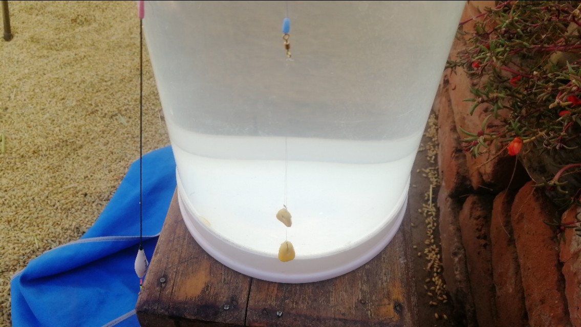 全网最快调漂不接受反驳,五步调漂的正确方法与技巧