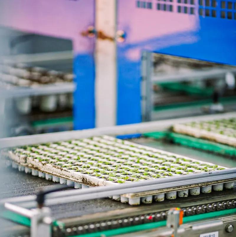 在大山深处幽静绝美的村落,深藏大山中的村落