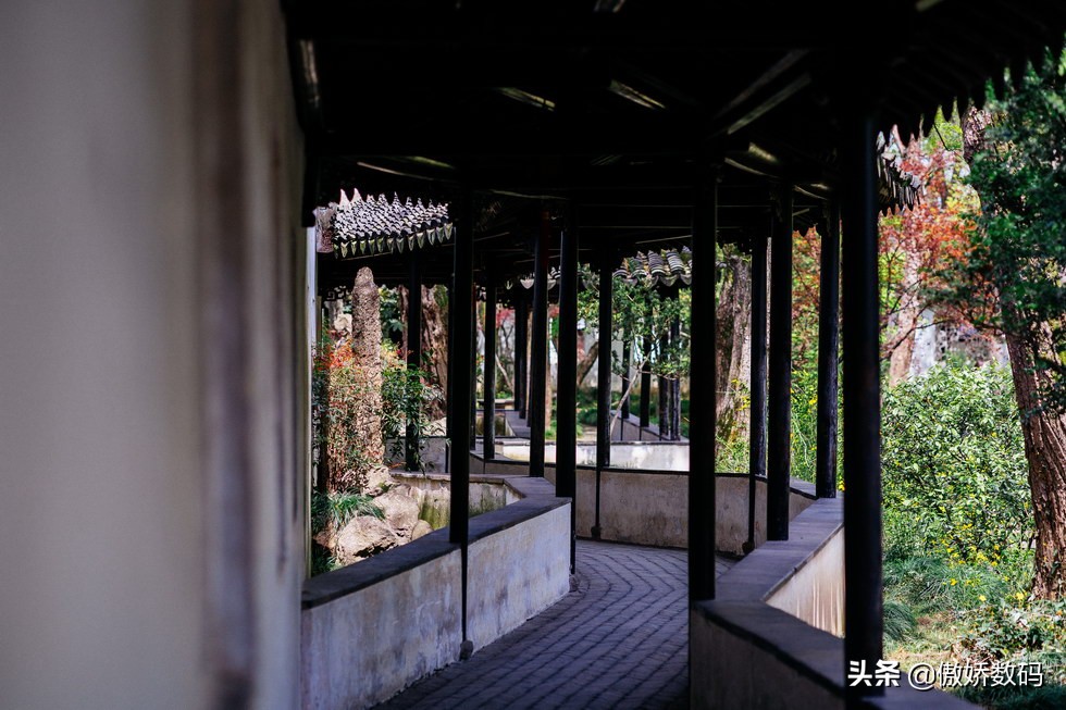 拙政园最让人欣赏的地方,拙政园十大特色