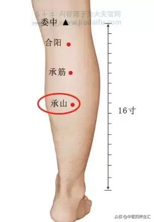 单桂敏艾灸除百病全部视频教程,湿去百病除
