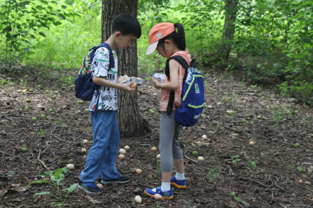 喂萌宠，捡鸡蛋，大自然里快乐多，精诚文化学校暑期班走进大自然