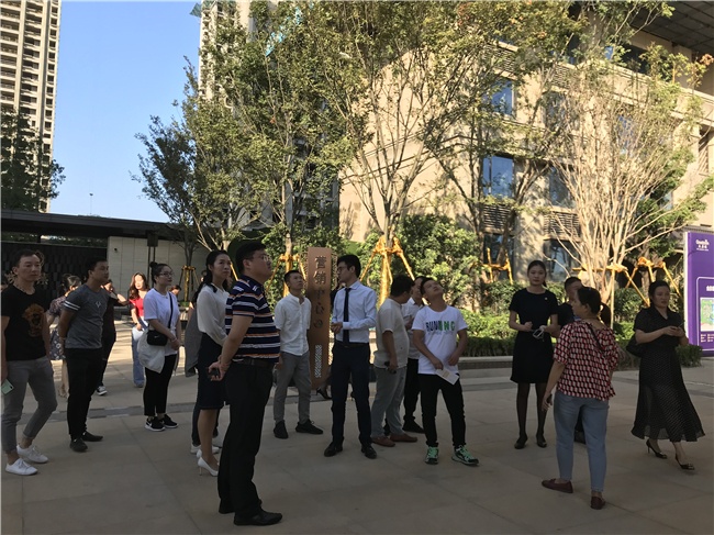 名城紫金轩设计,名城紫金轩洋房