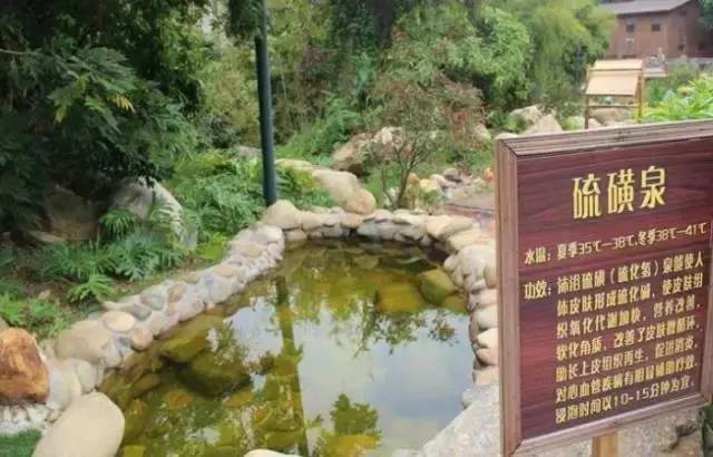 惠州怡情谷温泉酒店预订,惠州南昆山温泉度假村酒店推荐