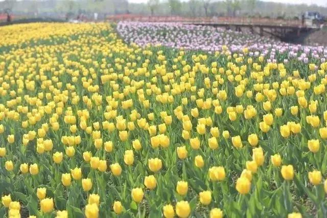 盘山峡谷漂流,黄崖关梨木台景区游玩攻略