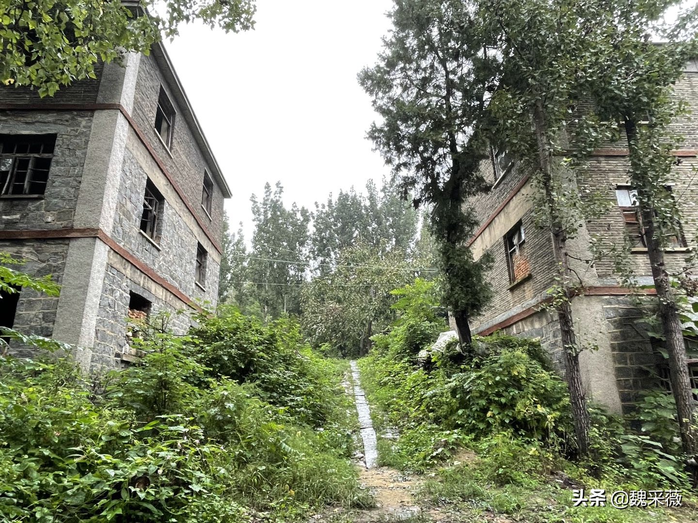 上世纪60年代红遍世界的大寨村,四十年前大寨村