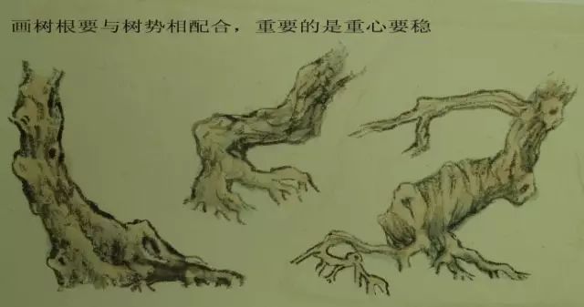 树的基本画法视频,树的素描画法