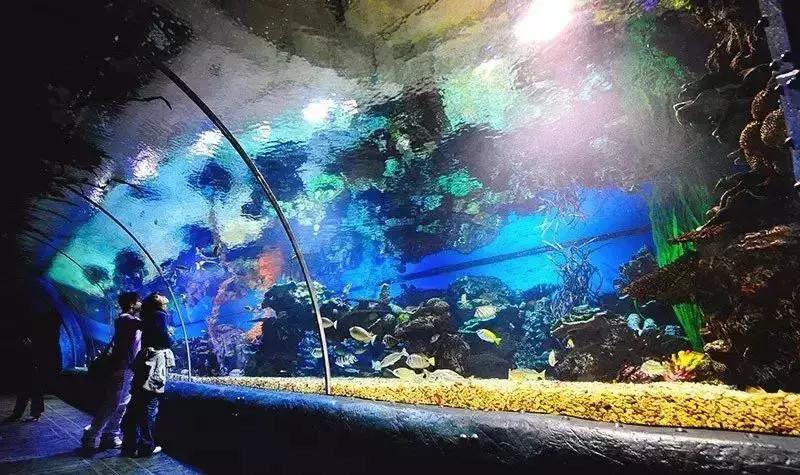 郑州飞哪里的机票最便宜五月,机票白菜价29元