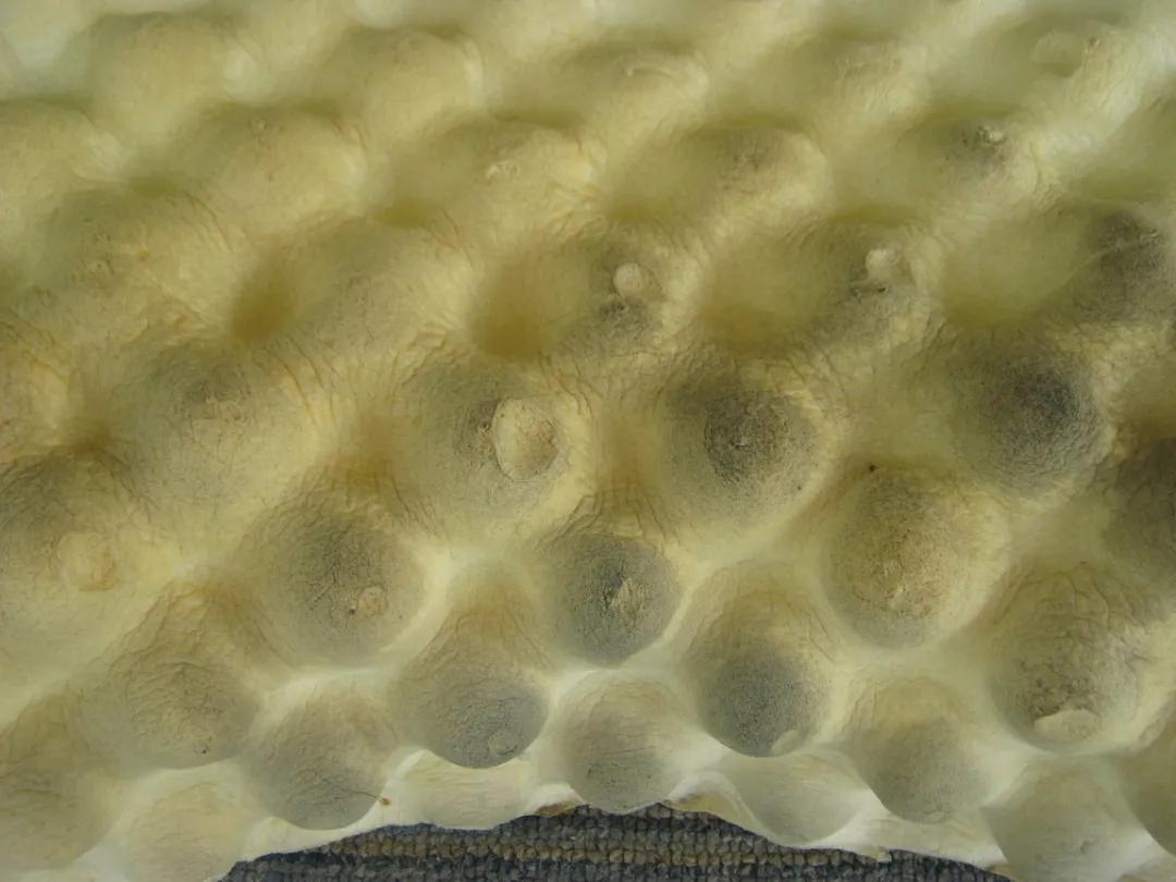 父母买的智商税,什么是智商税没必要买