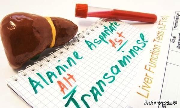 血液中转氨酶的升高提示了什么,血液出现转氨酶升高