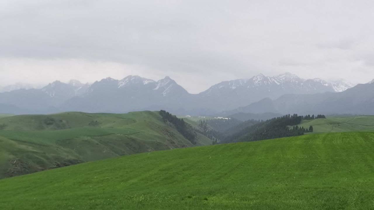 坐公共交通工具游新疆北疆攻略,从新疆坐大巴去俄罗斯