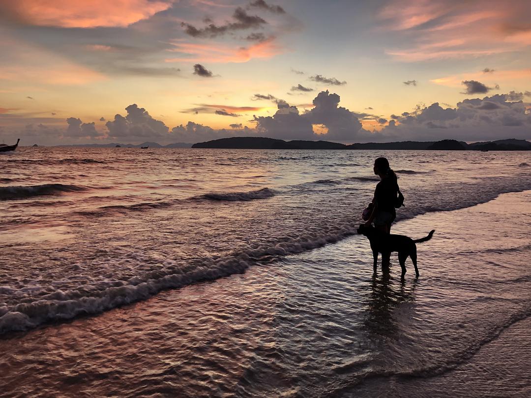 泰国曼谷自由行带食物攻略,泰国曼谷吃饭攻略