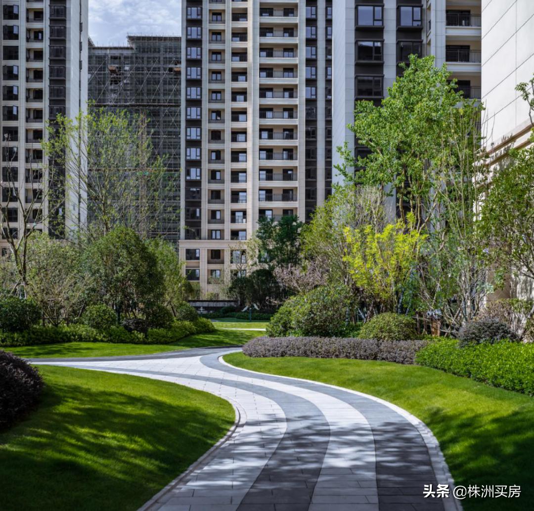 鏍床姝﹀箍鏂板煄鐨勫績澶磋倝,姝﹀箍鏂板煄鏍床