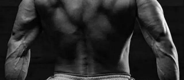 适合下背疼痛的7种核心训练动作,下背没力量怎么练