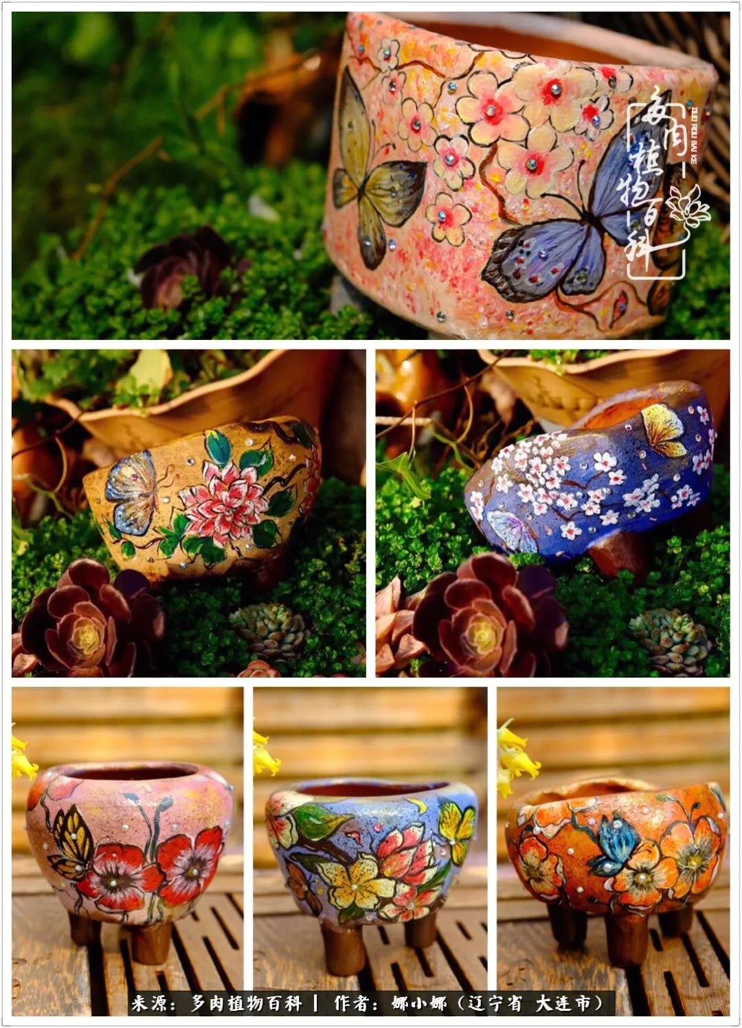 你是盆我是花，你护我周全，我为你绽放