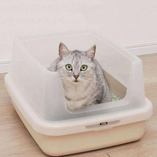 猫咪的屁屁臭怎么办,猫咪回南方拉屎特别臭