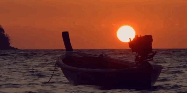 恋恋丽贝岛，人狗情未了|KohLipe