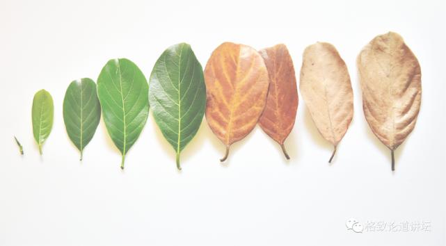 未来医疗器官可再生,再生医学给我们带来的健康