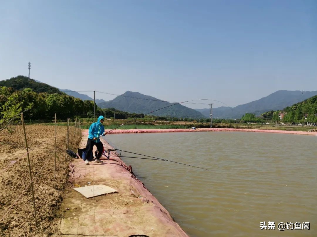 7.2米鱼竿黑坑用19调还是28调好,钓黑坑如何选钓竿