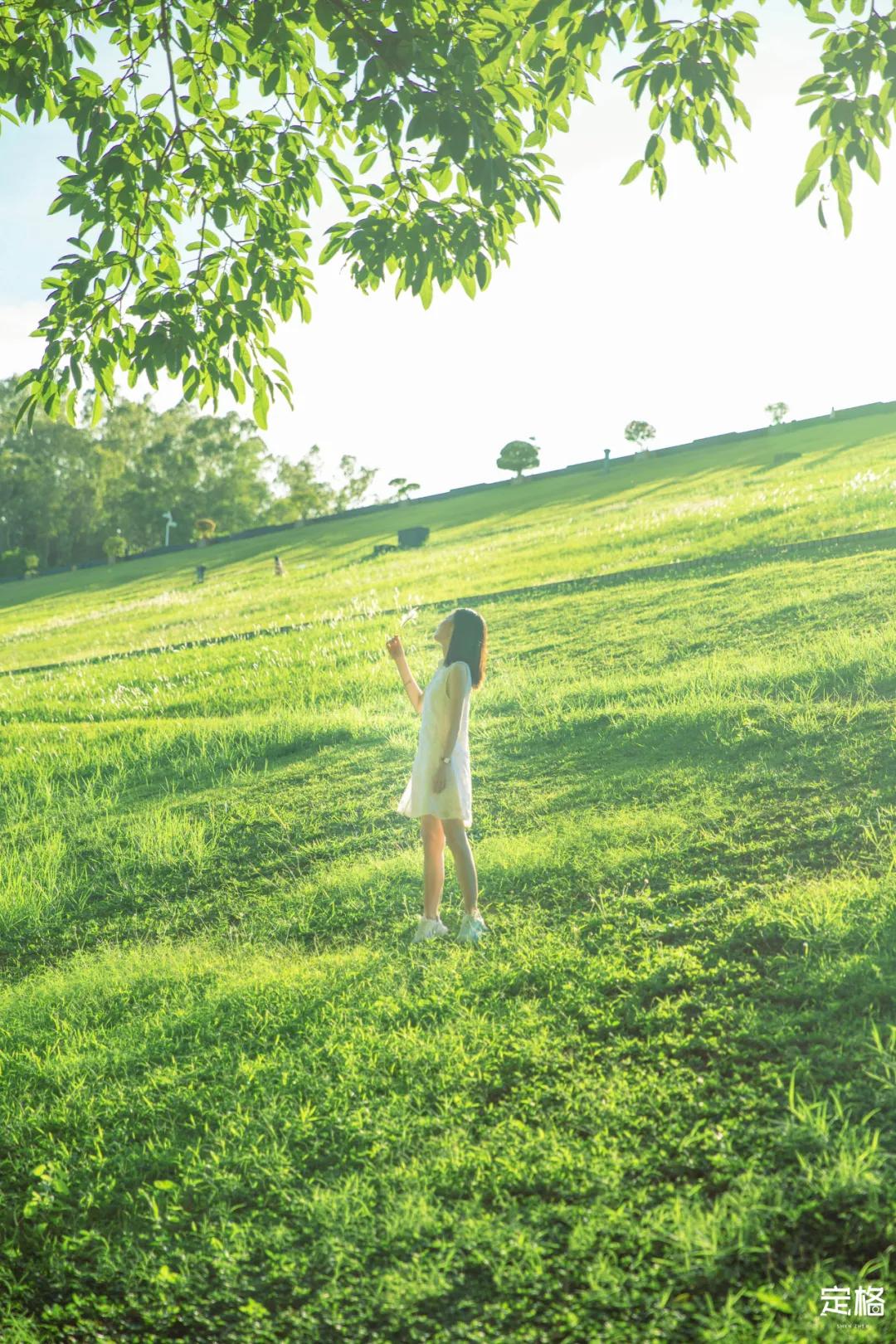 深圳梅林水库有山溪吗,深圳梅林水库在哪个区