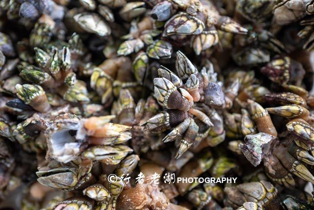 如何玩转外伶仃岛,广东省外伶仃岛游玩攻略