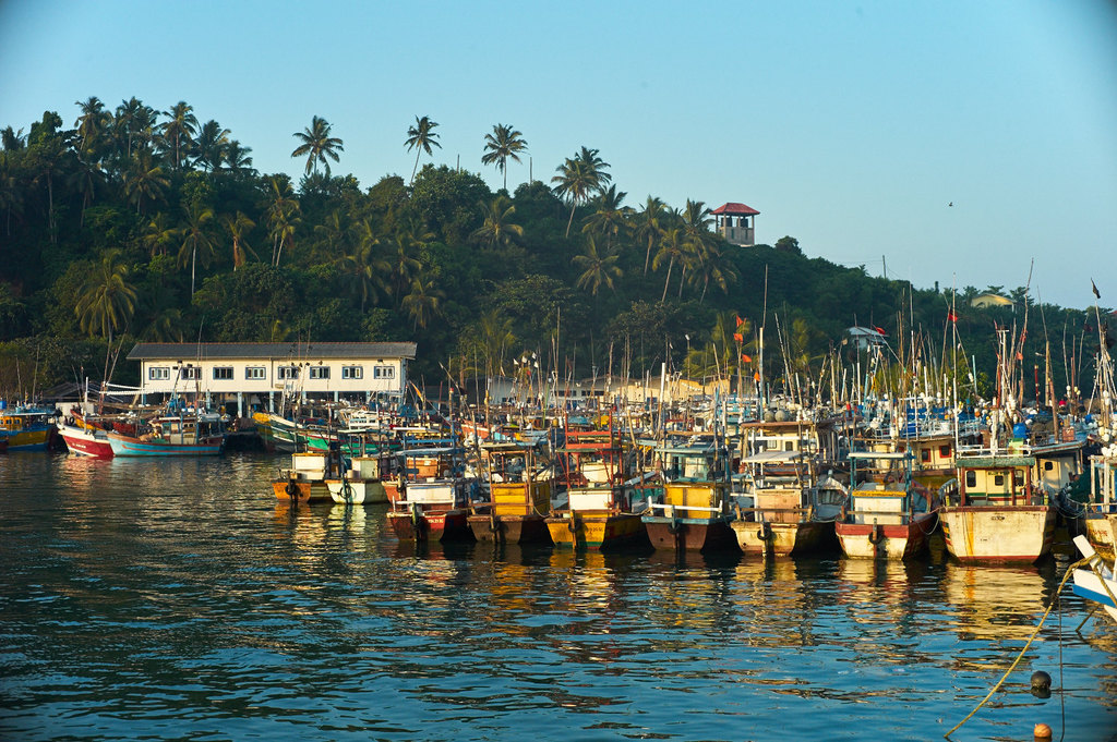 去斯里兰卡旅游必备注意事项,去斯里兰卡旅游需要什么条件