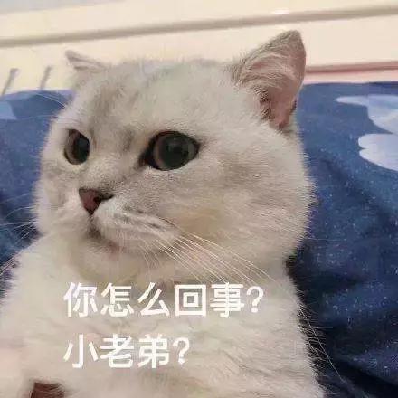 寒假作业丢了你一定很着急吧,开学了作业弄丢了怎么办