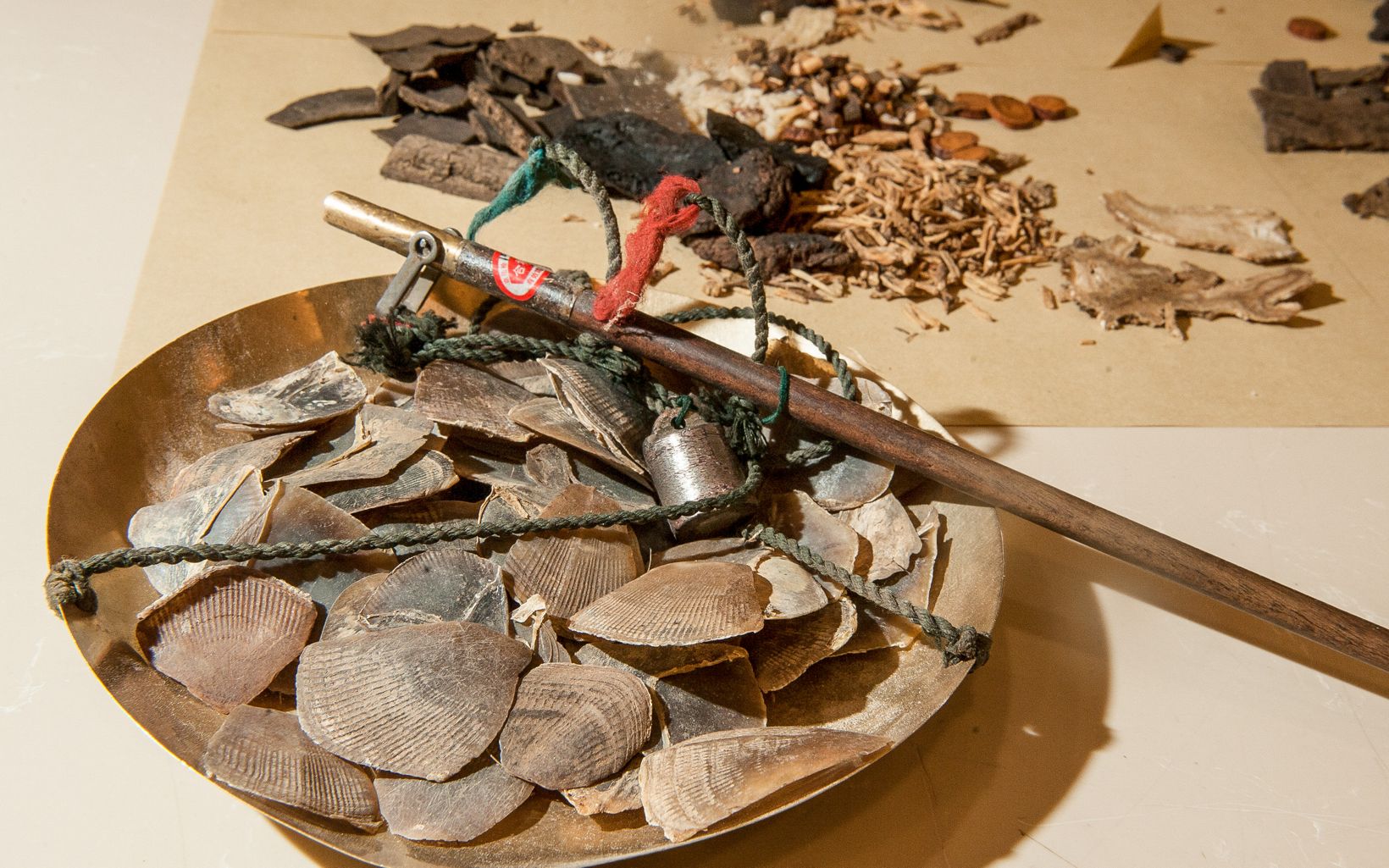 收穿山甲被处罚,穿山甲被判刑案例