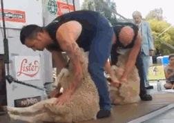 为什么有人相信算命这种伪科学,原来算命有这么多真事