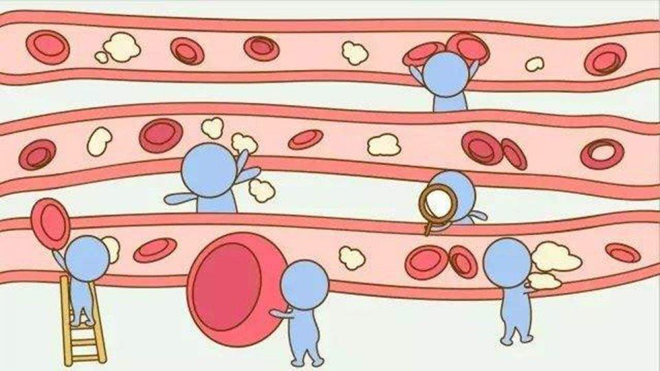 射手女ab血型的人最适合哪个星座,血型ab星座处女