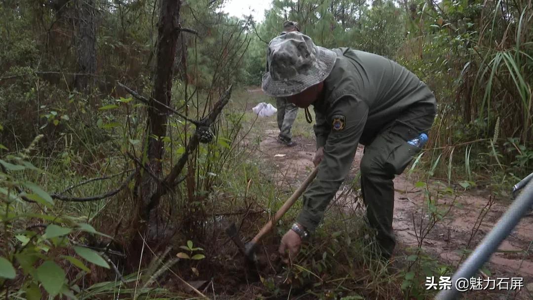 cop15浜戝崡鏄嗘槑,cop15鏂囧北