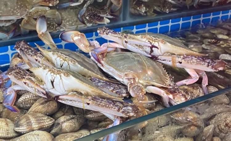 梭子蟹怎么挑有肉一点,怎么挑有肉梭子蟹