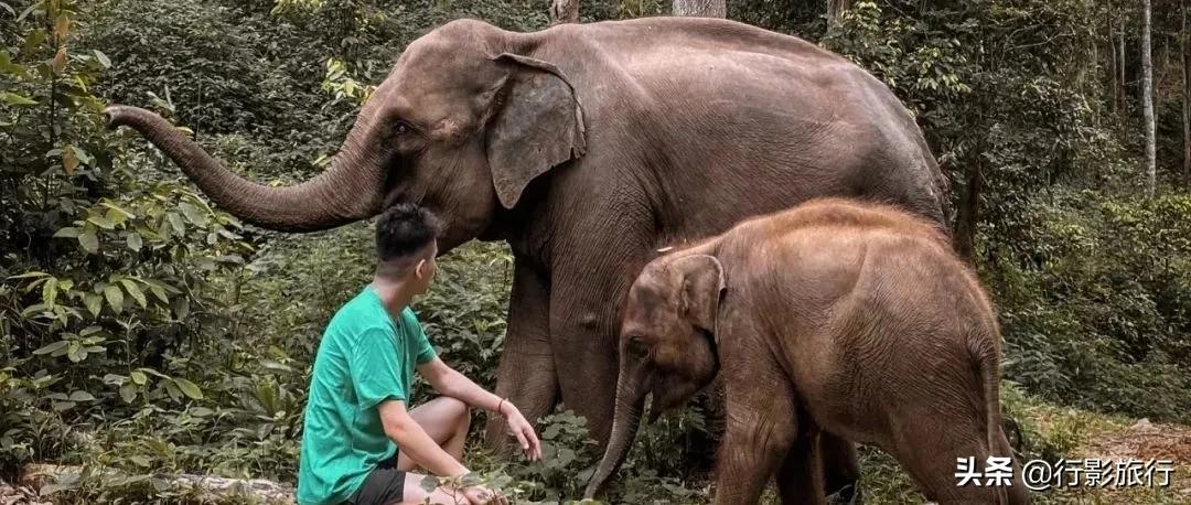 介绍一下云南的西双版纳,云南西双版纳的介绍景点