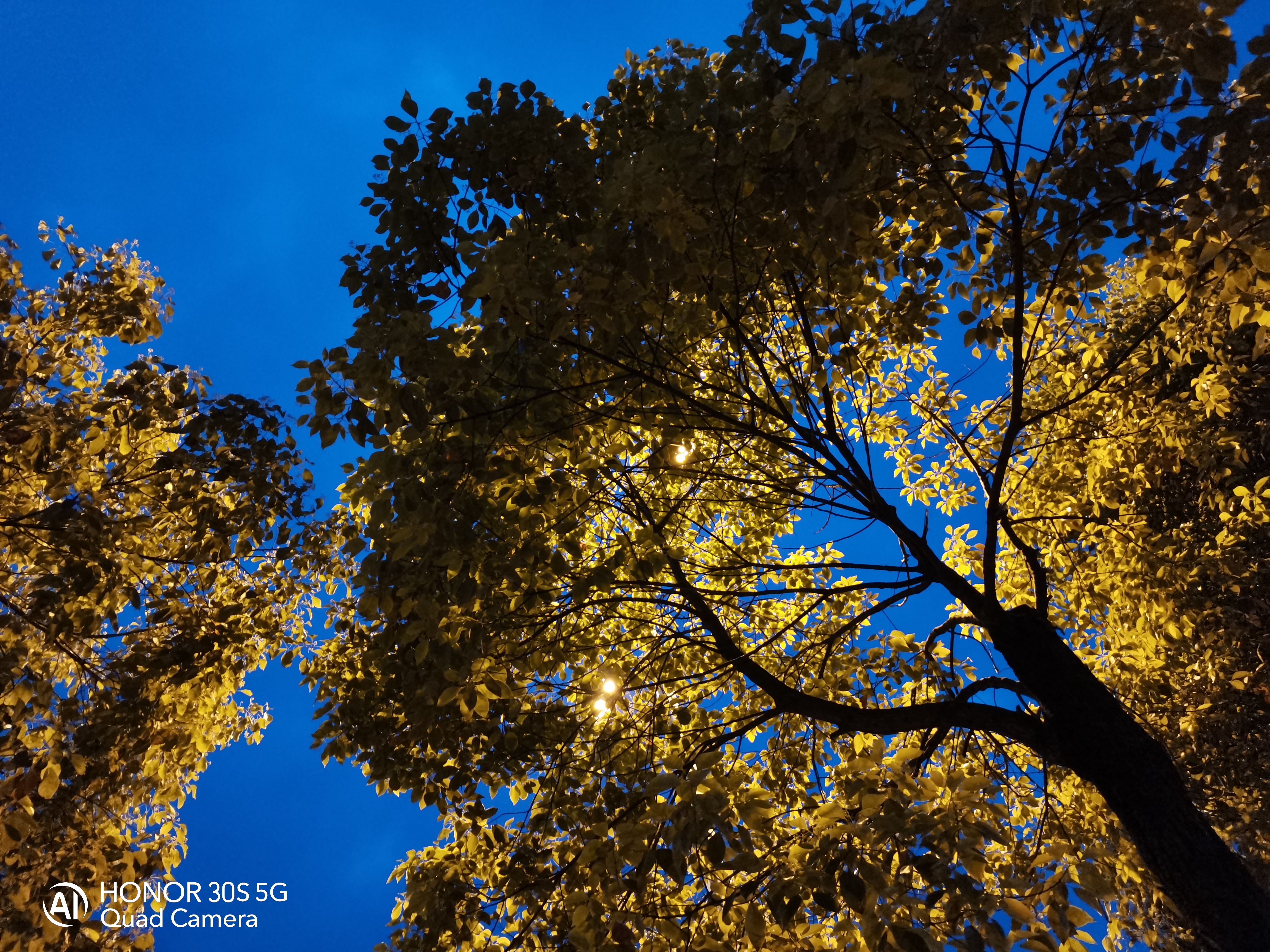 oppo拍照真的比其他手机好吗,oppo手机拍照哪个系列是最好的