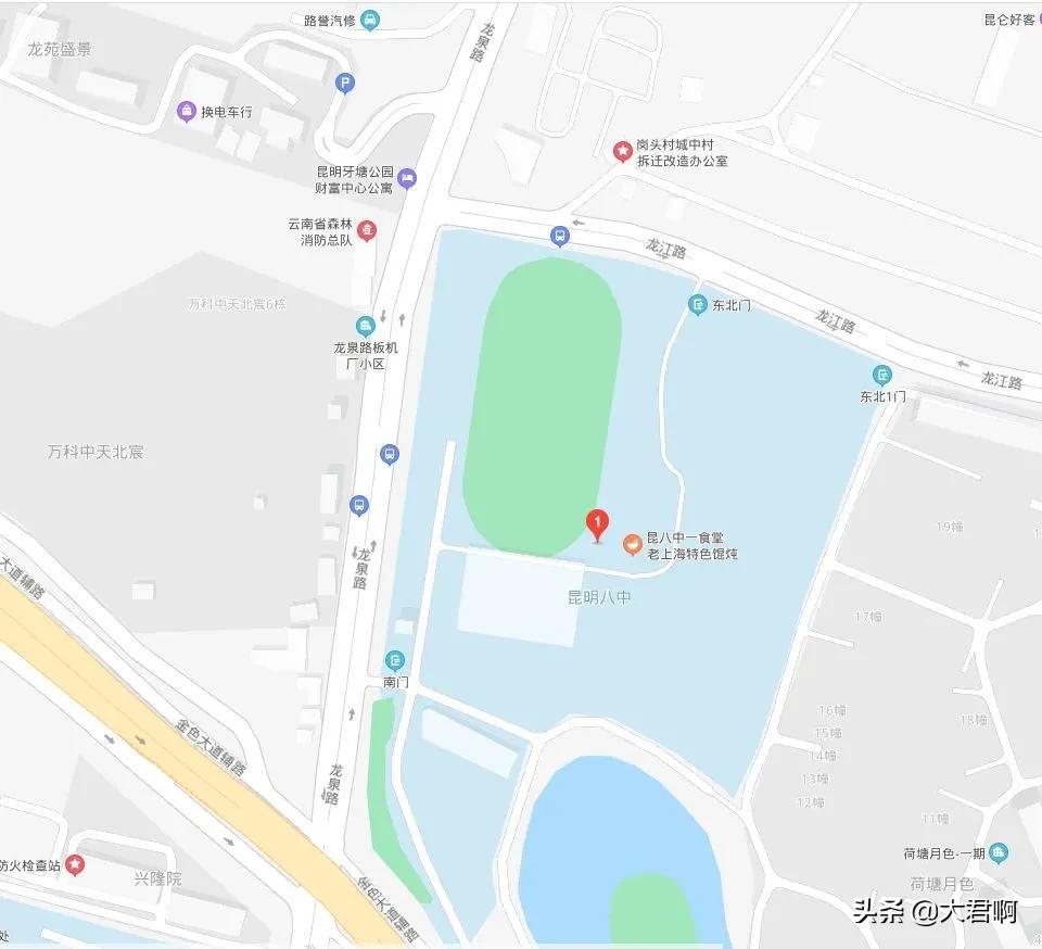 昆明第八中学一本率,昆明市第八中学2020高考成绩