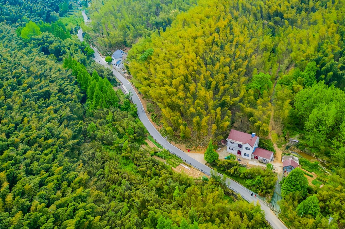 广德自驾游最佳的地方有哪些,自驾从广德到上海的最佳方案