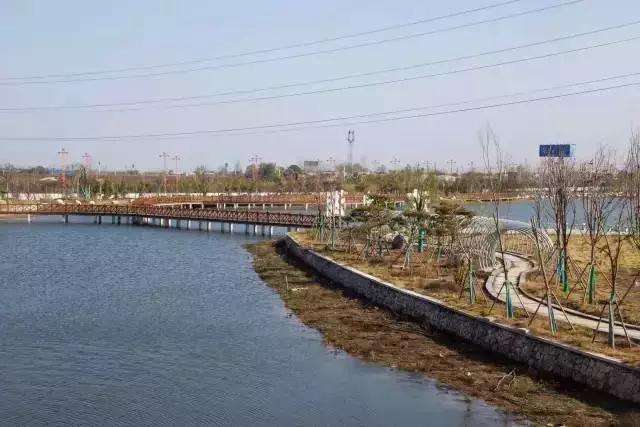 最全大荔旅游攻略拿走不谢,大荔必去4个景点