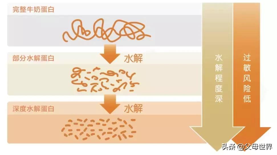过敏的健康小知识,过敏有什么样子