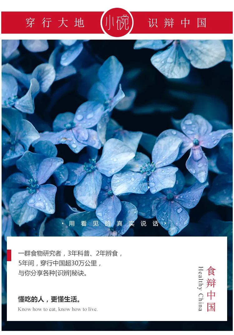 网红竹炭牙膏真的有用吗 (抖音竹炭洗白牙膏是真的吗)