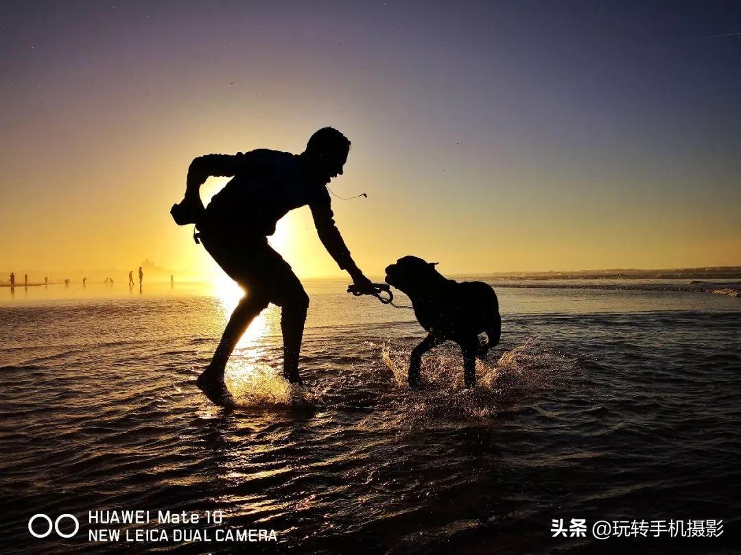 华为手机摄影课程,最全的华为手机摄影教程下载免费