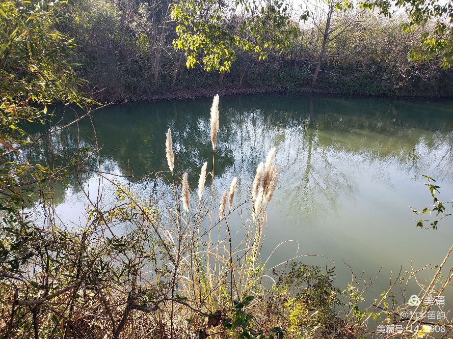 绝美西溪,西溪南冬季景色