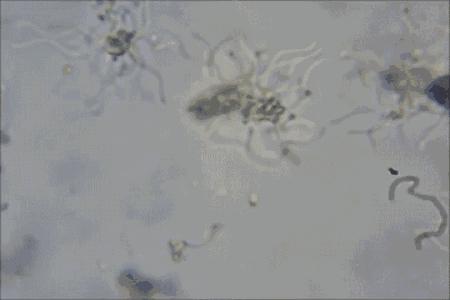 厨房最脏的东西,再脏的厨房有了它轻松搞定