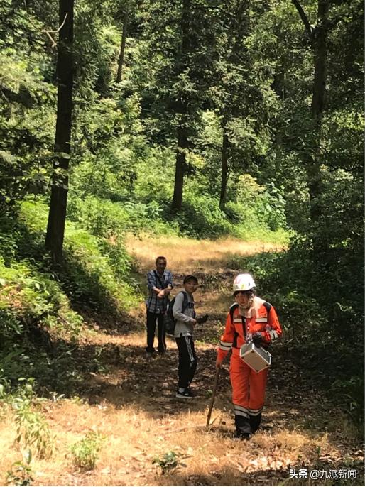 第二只金钱豹被搜救犬咬死,金钱豹被几只狗拿下